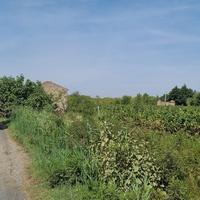 Photo de France - La randonnée de la Tamarissière